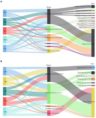 The characterization of microbial communities and associations in karst tiankeng